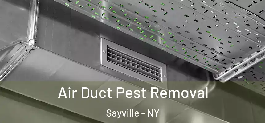  Air Duct Pest Removal Sayville - NY