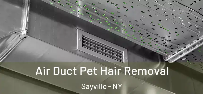 Air Duct Pet Hair Removal Sayville - NY
