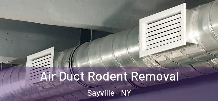  Air Duct Rodent Removal Sayville - NY