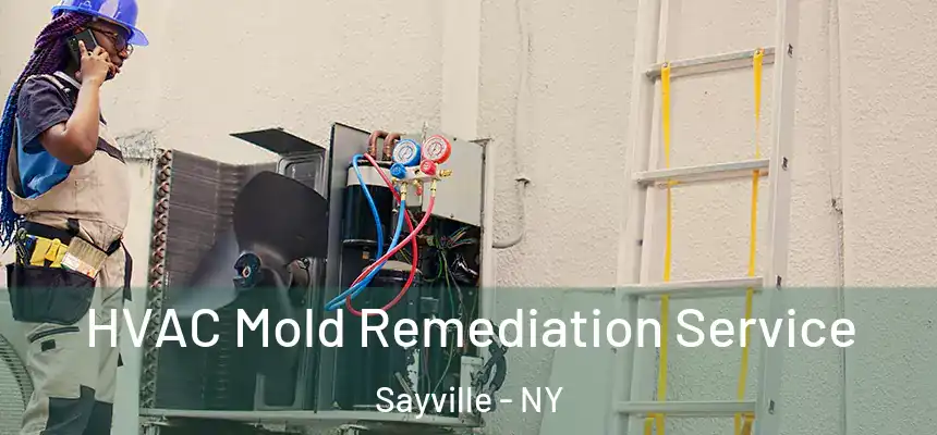  HVAC Mold Remediation Service Sayville - NY