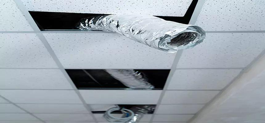 Affordable HVAC Sanitizing After Pest Removal in Sayville