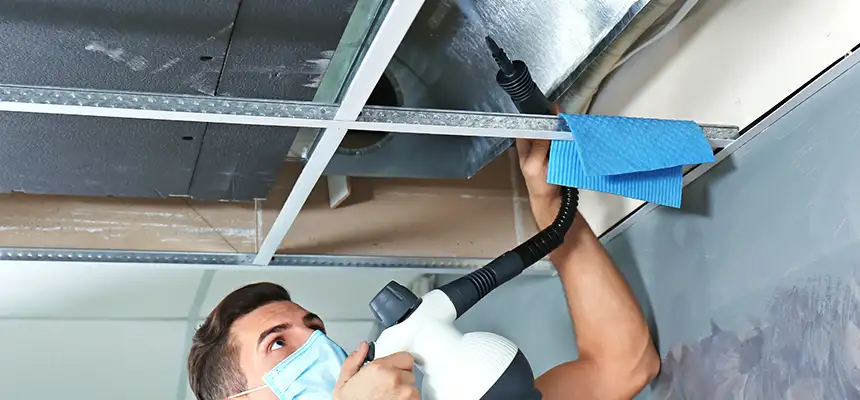 Our Air Duct Rodent Removal Services in Sayville, NY