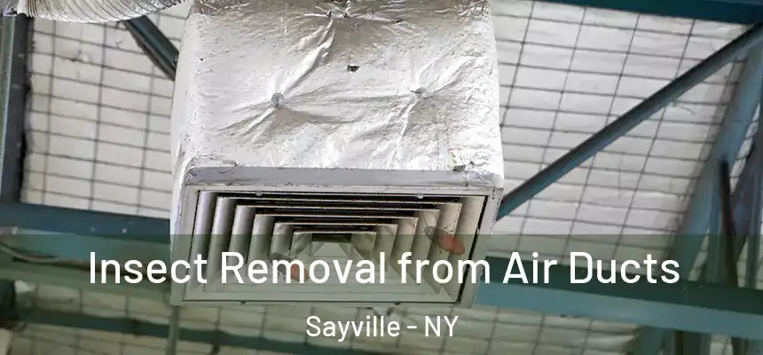  Insect Removal from Air Ducts Sayville - NY