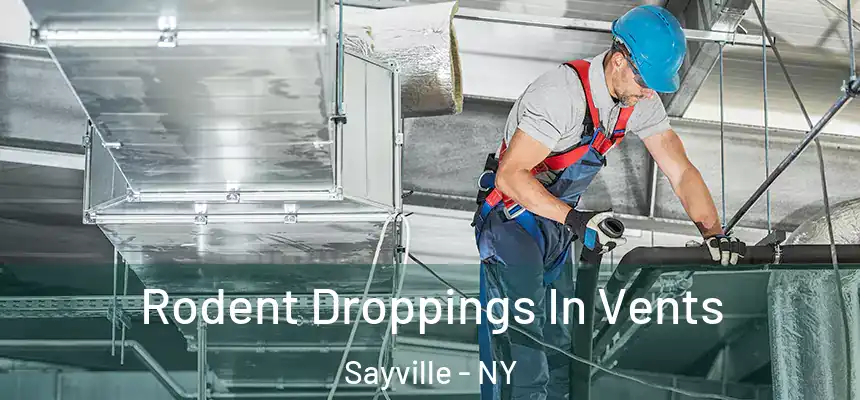  Rodent Droppings In Vents Sayville - NY
