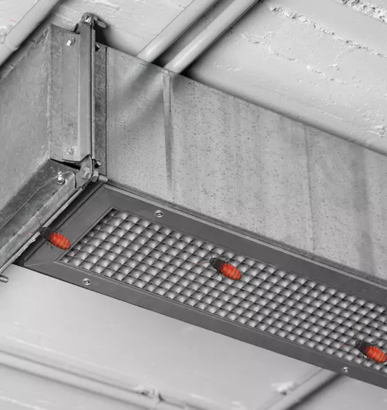About Air Duct Cockroach Removal in Sayville, NY