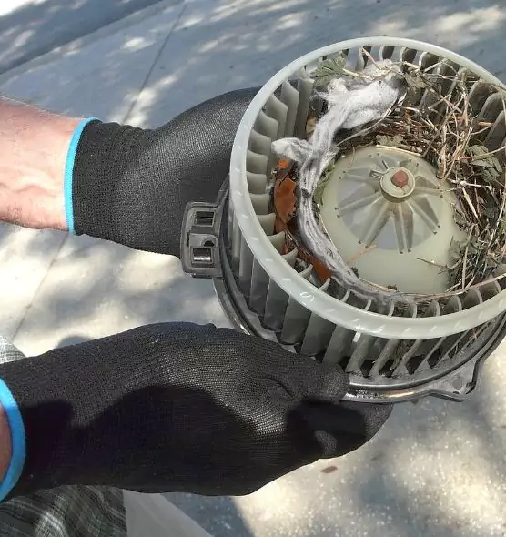 About Air Duct Mice Removal in Sayville, NY