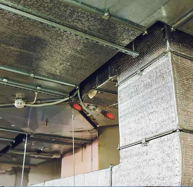 Why Homeowners & Businesses Trust Us in Sayville, NY?