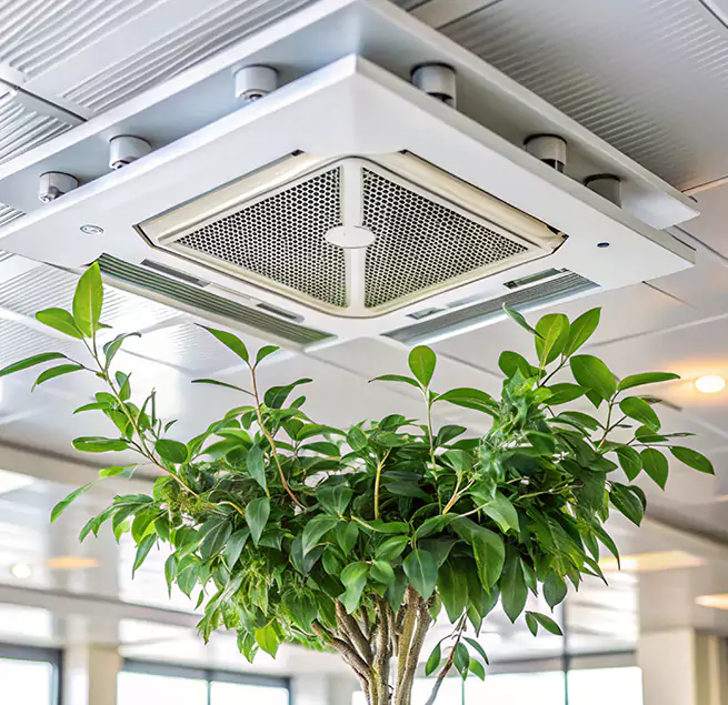 Why Homeowners & Businesses Trust Us in Sayville, NY?